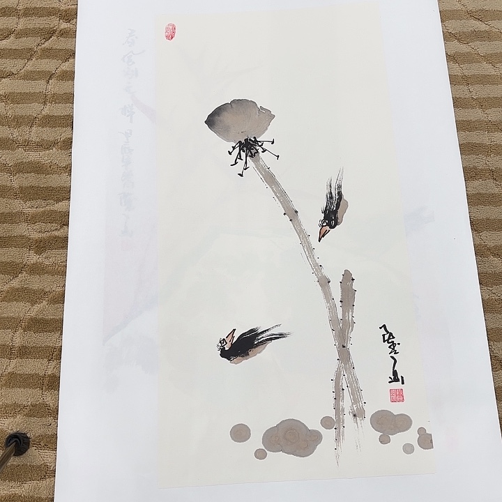 国画花鸟的翅膀是白色和白色