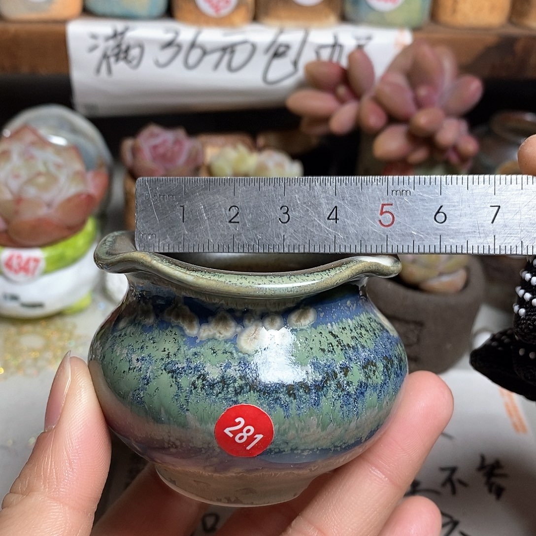 红陶拍5送一个小