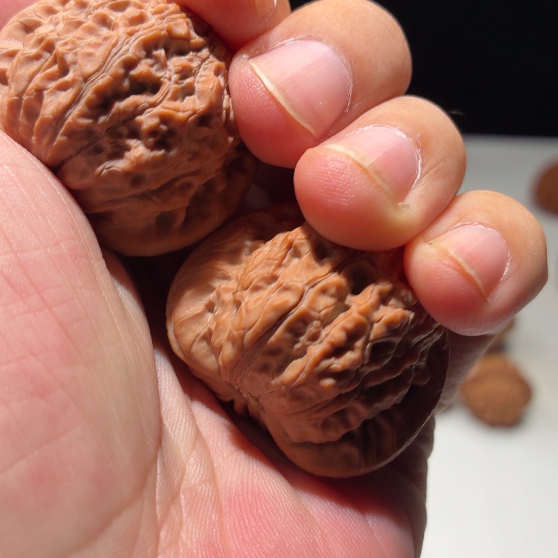 文玩核桃吊坠血麒麟