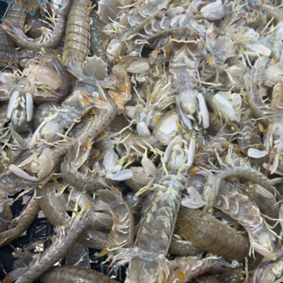 特大皮皮虾免费蒸 500g