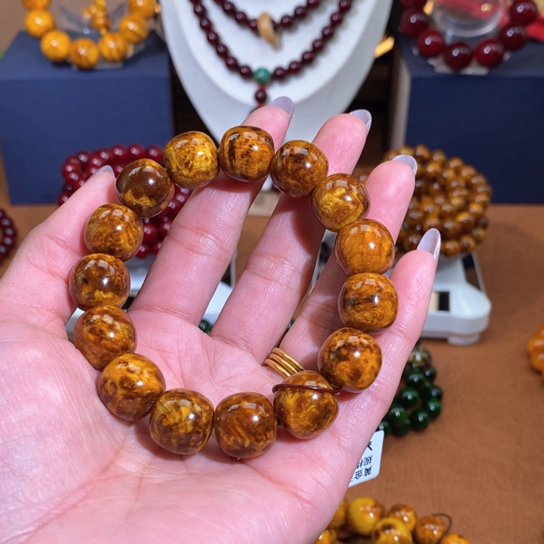 贝壳杉李*書血龙木1.3黄金玉化留疤