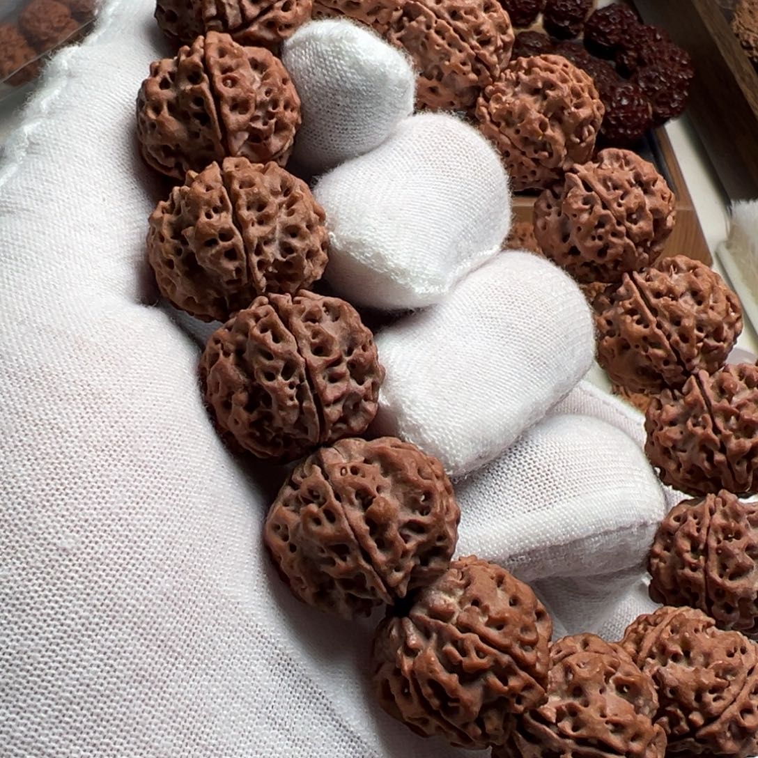 金刚菩提手串双龙纹