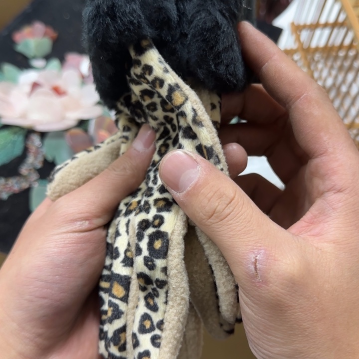 狮**?哈哈哈哈哈哈哈哈哈