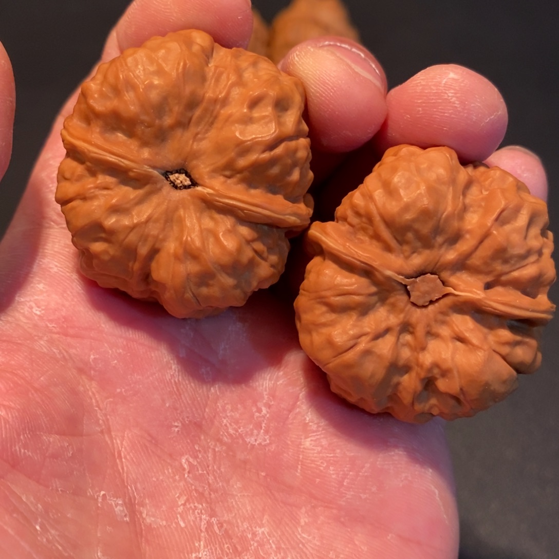 T***H把件文玩核桃蛤蟆尺寸