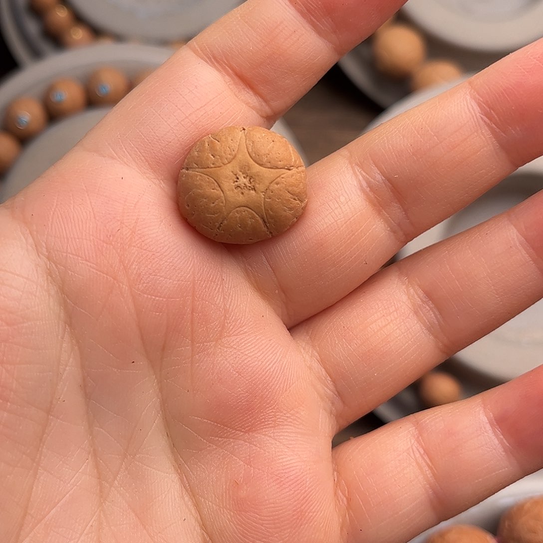 凤眼菩提手串五星