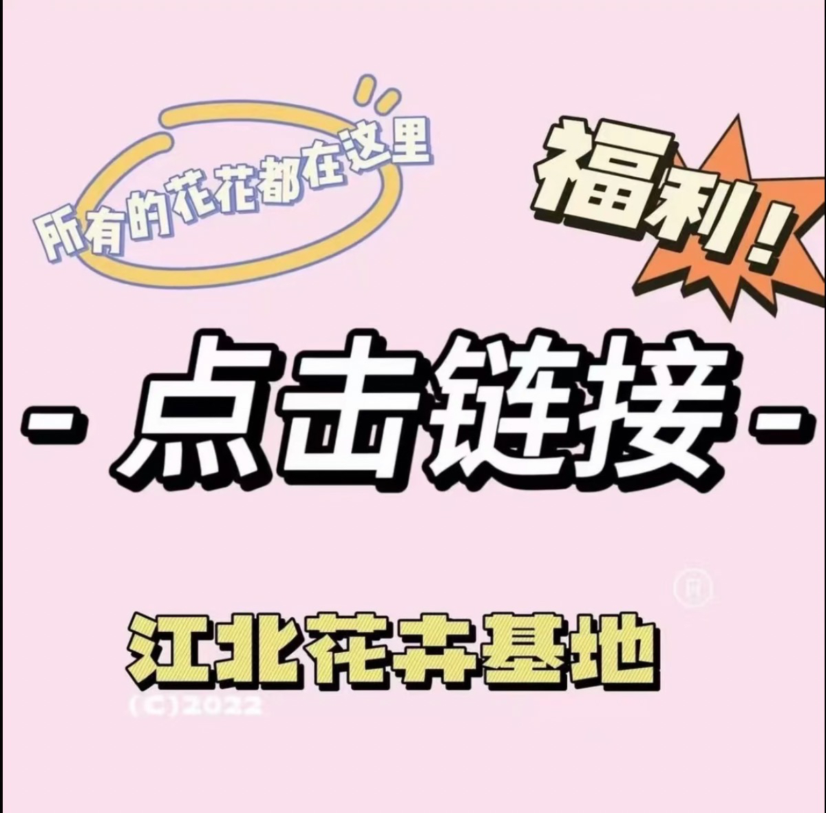 千寻花卉 改价链接 基地直发