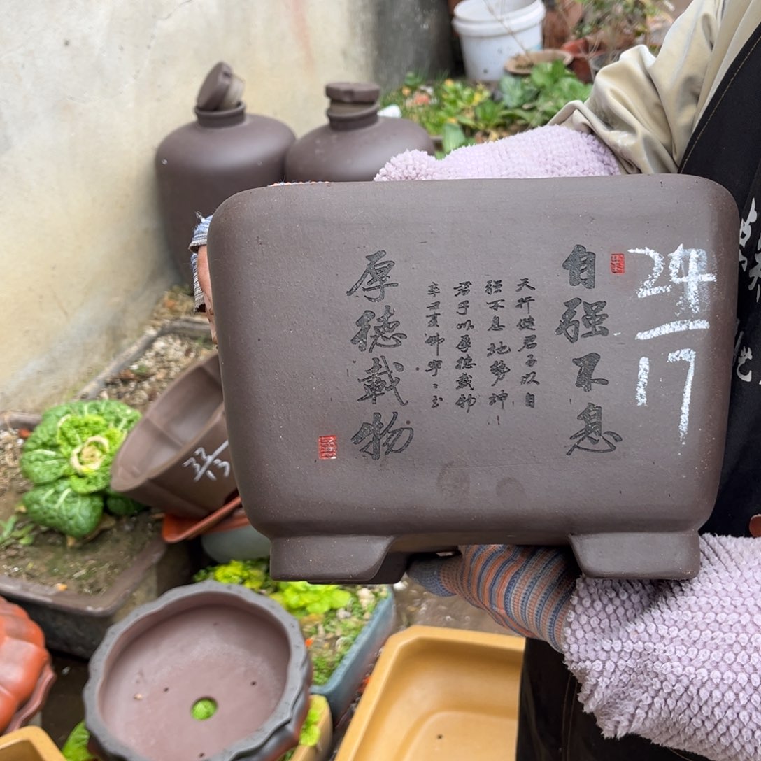 紫砂花盆盆景艺术