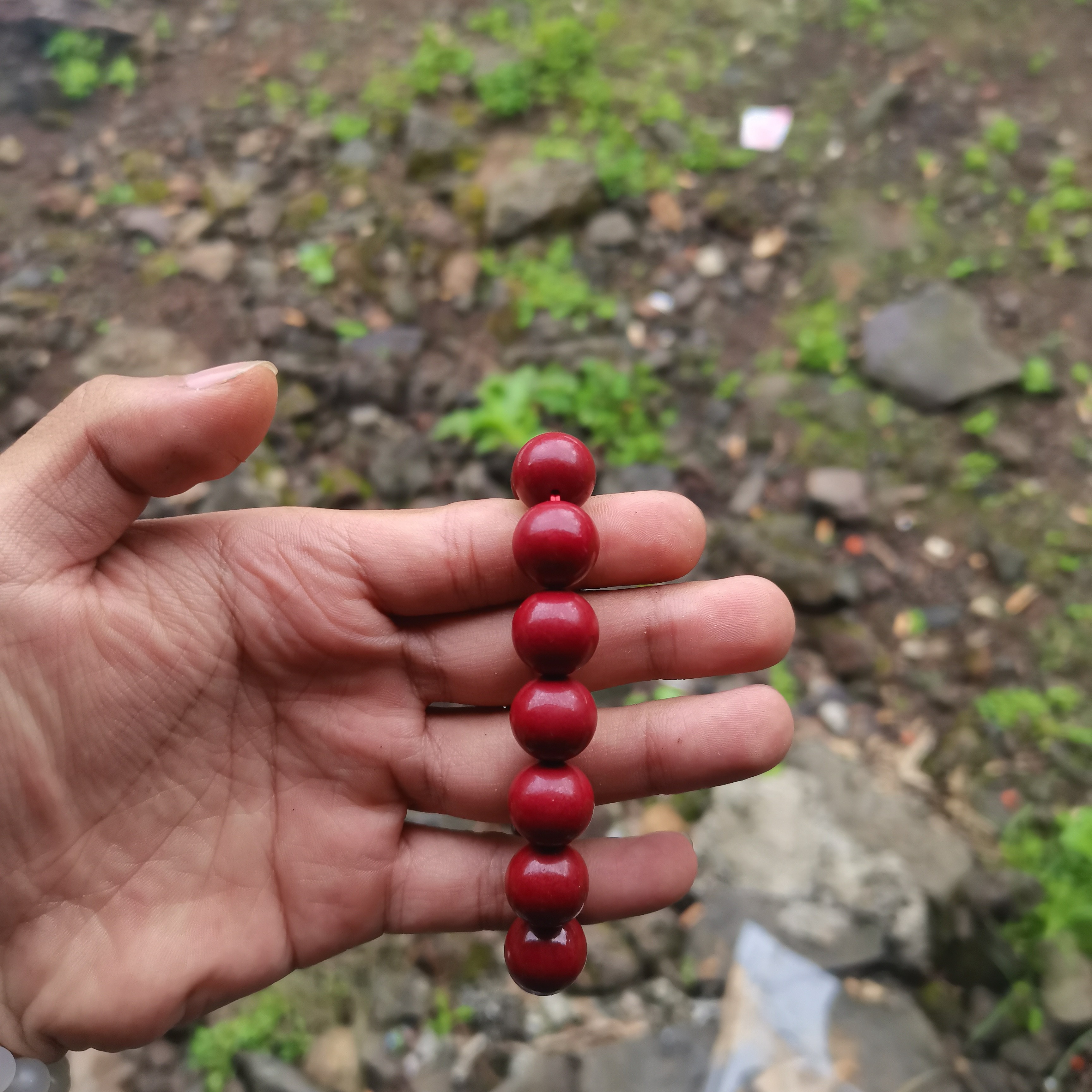 小宇专属农家 临时链接  非粮油米面
