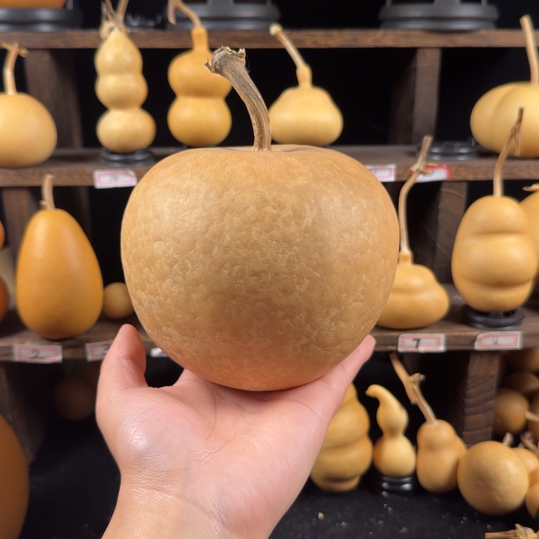 ****a葫芦葫芦葫芦葫芦葫芦