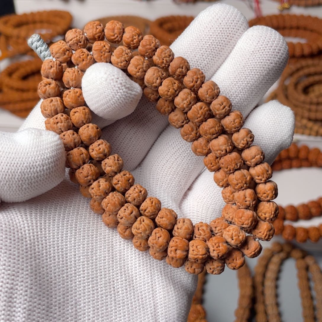 金刚菩提手串五爪金龙南瓜佛手