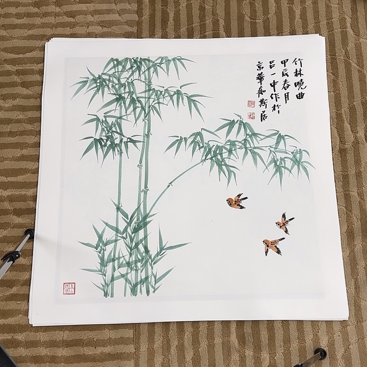 国画花鸟等多种鸟类和鸟类70.70