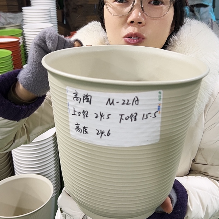 正品高陶口24高24果绿色无托5只
