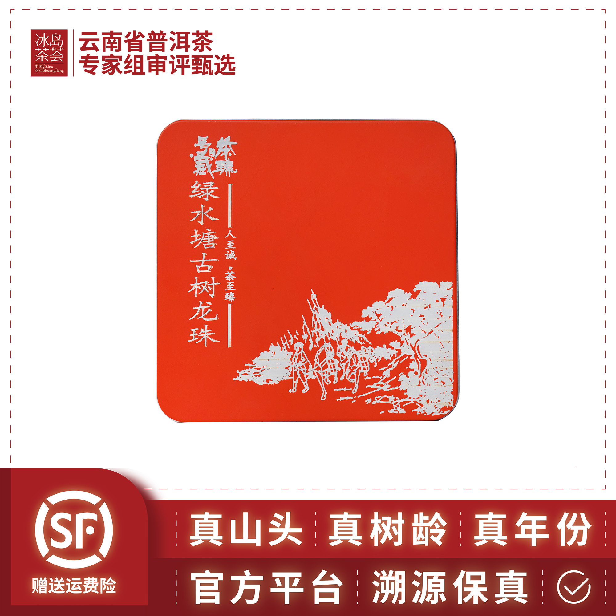阳溢/绿水塘古树龙珠（清甜蜜韵与木质温润）2020-64克/盒8g*8颗-生