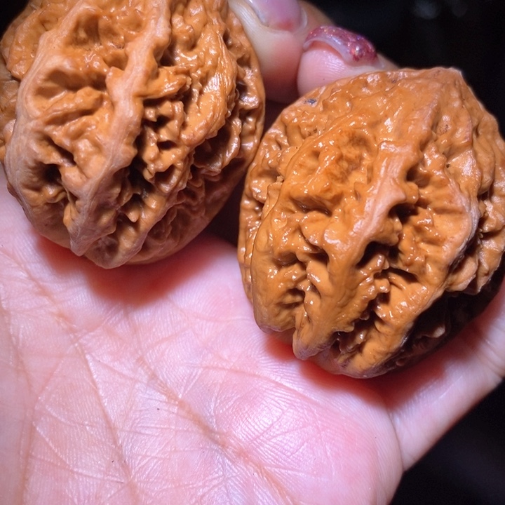 文玩核桃把件东北野生楸子小美27