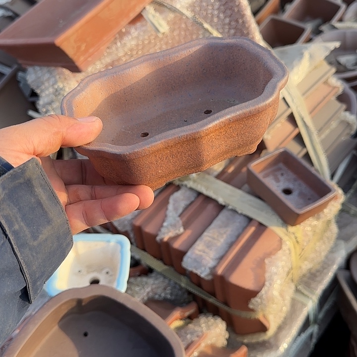 我想说我们也没见他说他有男朋友吗