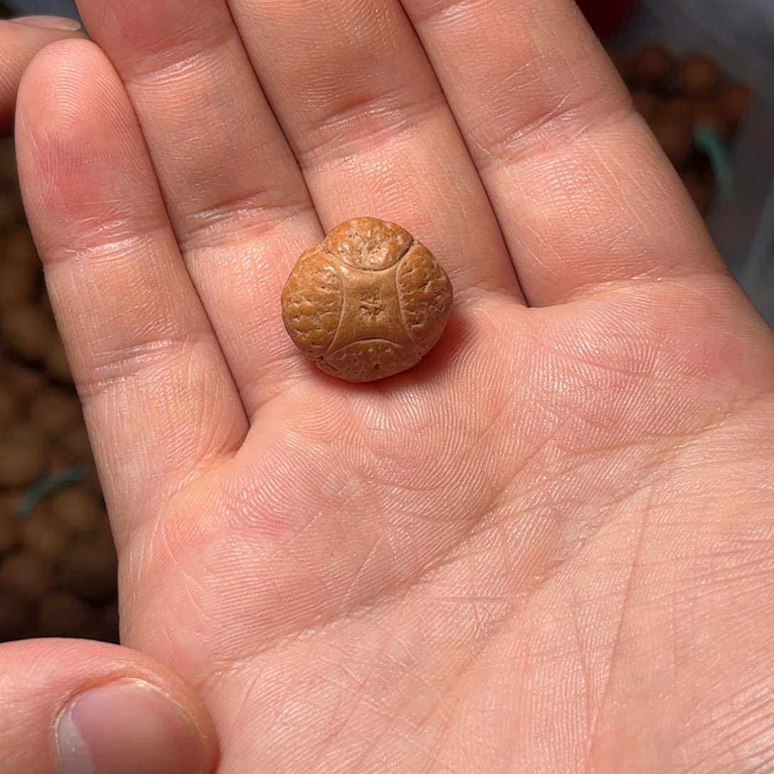 桃核吊坠19.8mm麒麟眼，开孔不退，偏远不包