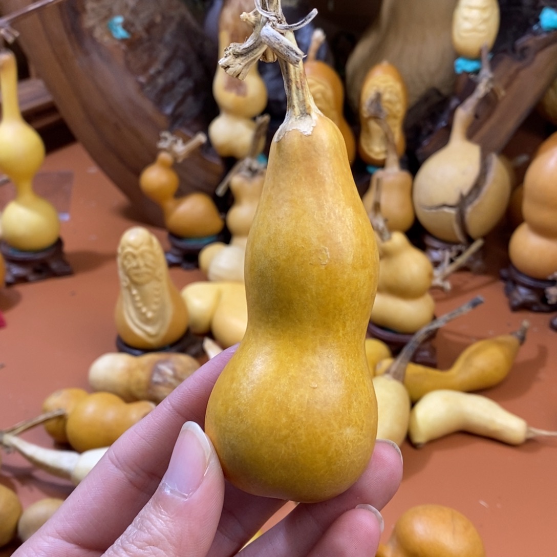 善***己啦啦好教练好教练教练