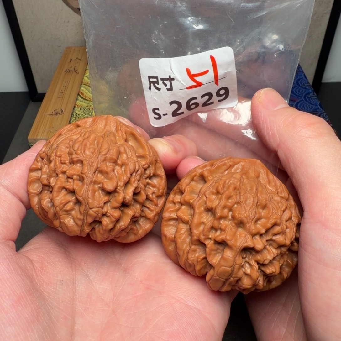 发***爸把件文玩核桃51官帽2629号