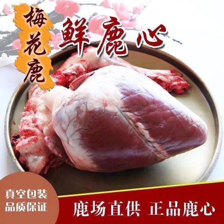 放养梅花鹿鹿心单个重约500g左右