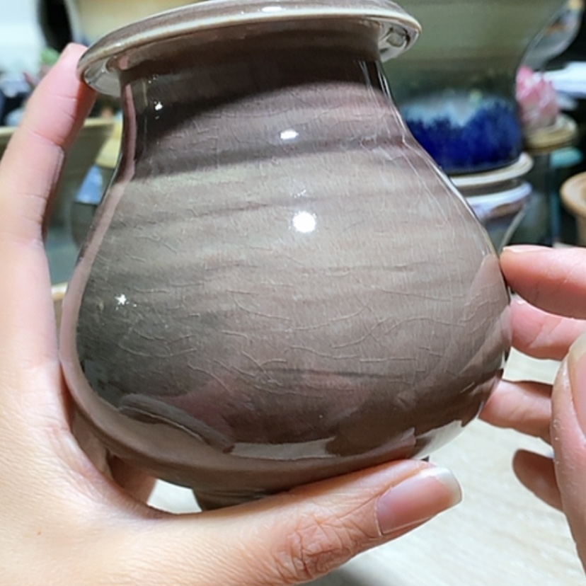 【闪购商品】红陶口6