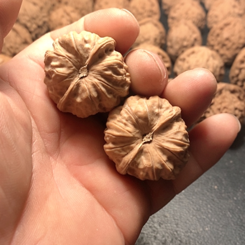 【闪购商品】z*z门头沟