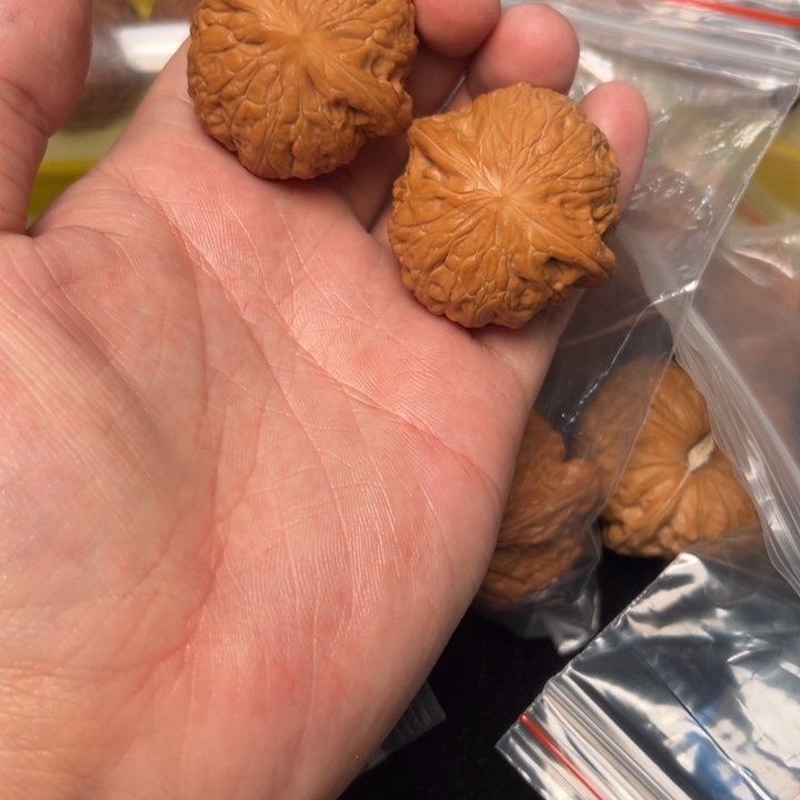 核桃铁锤，40已打底