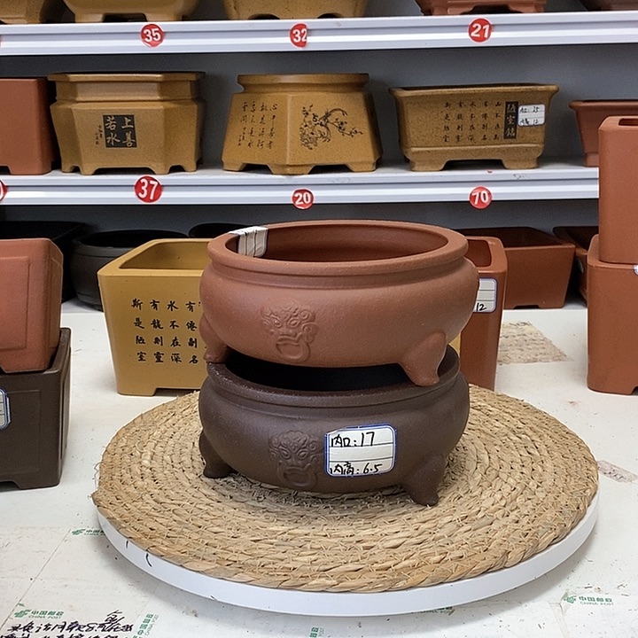 紫砂花盆今天下午