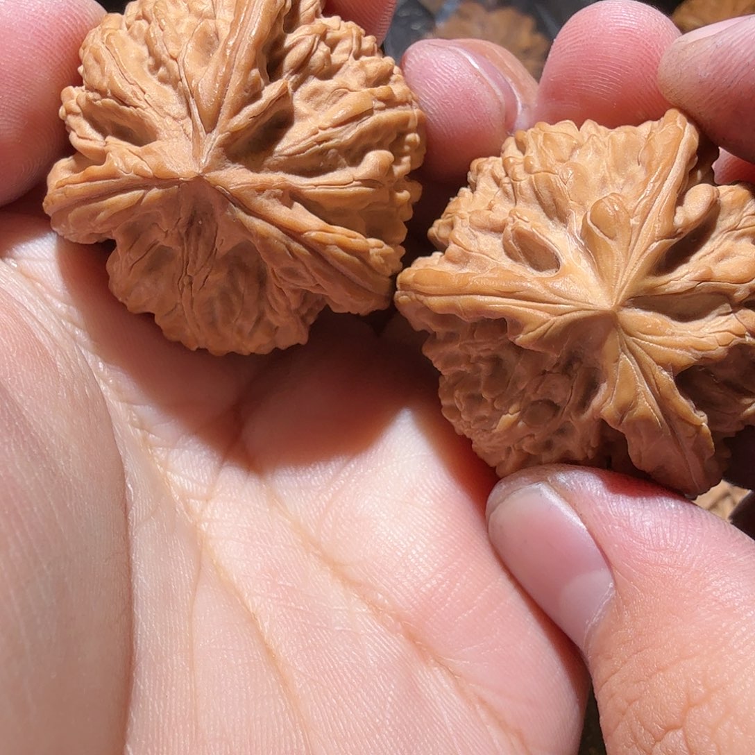 文玩核桃把件磊*御龙