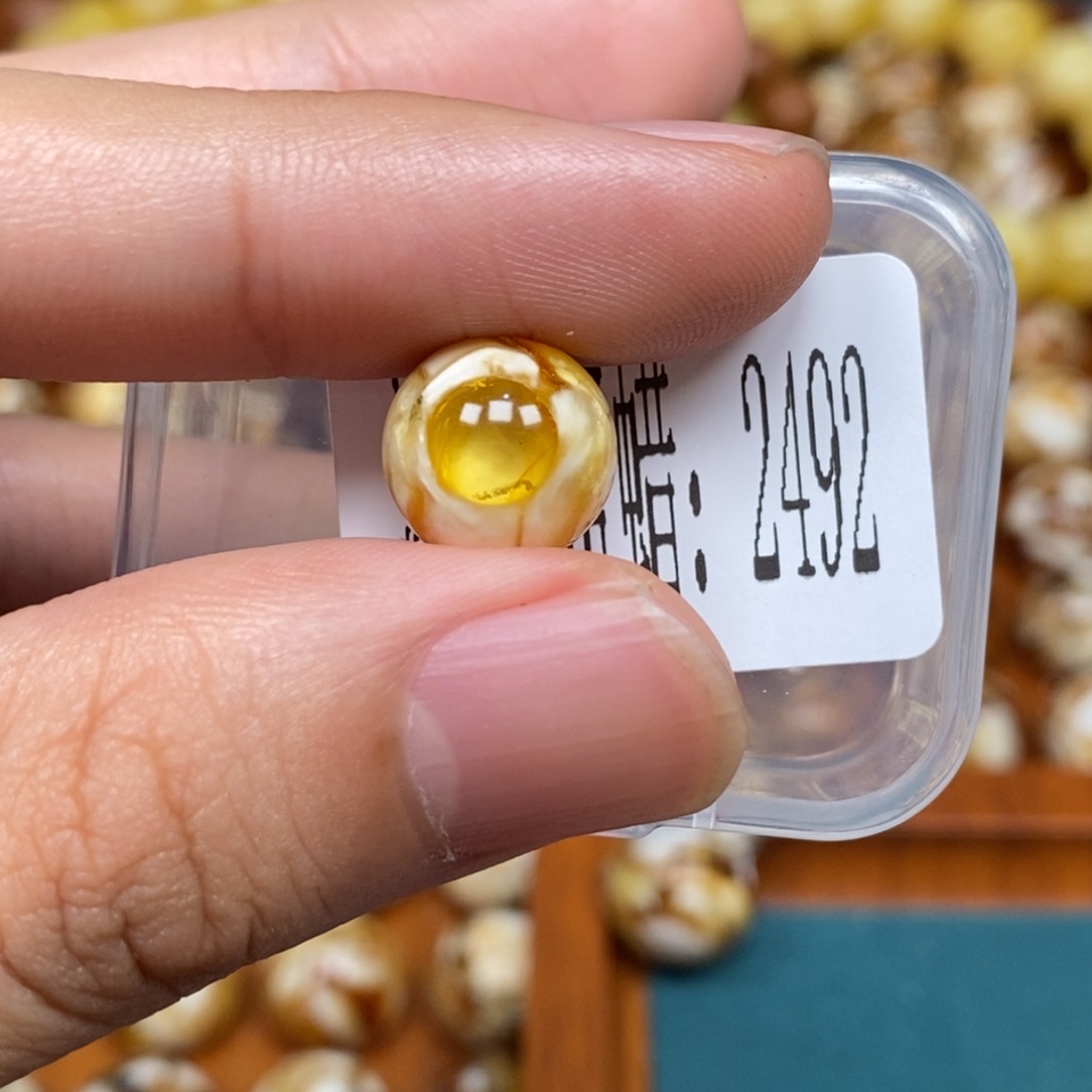 沁色蜜蜡未镶嵌2492