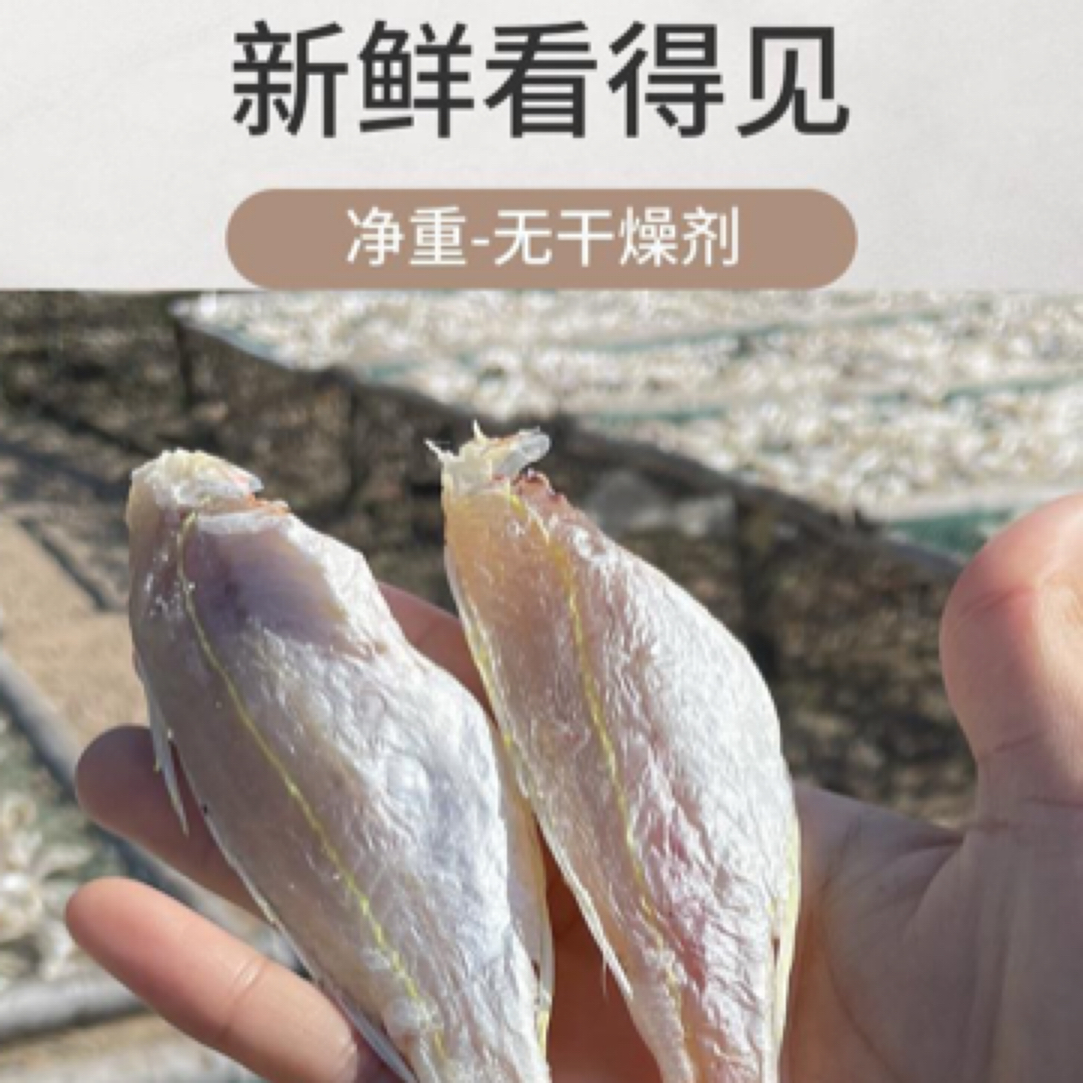 广东特产金线鱼干小鱼干500g一盒15-18条/斤阳江农家渔民干货海鲜特大淡口精品