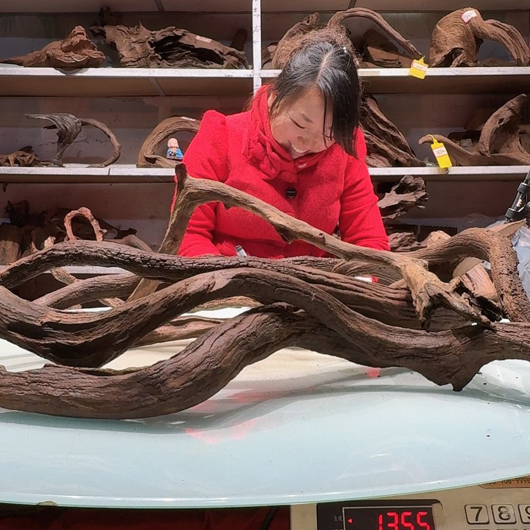 倍诸沉木不包损必褪色吃****棒6135枝条