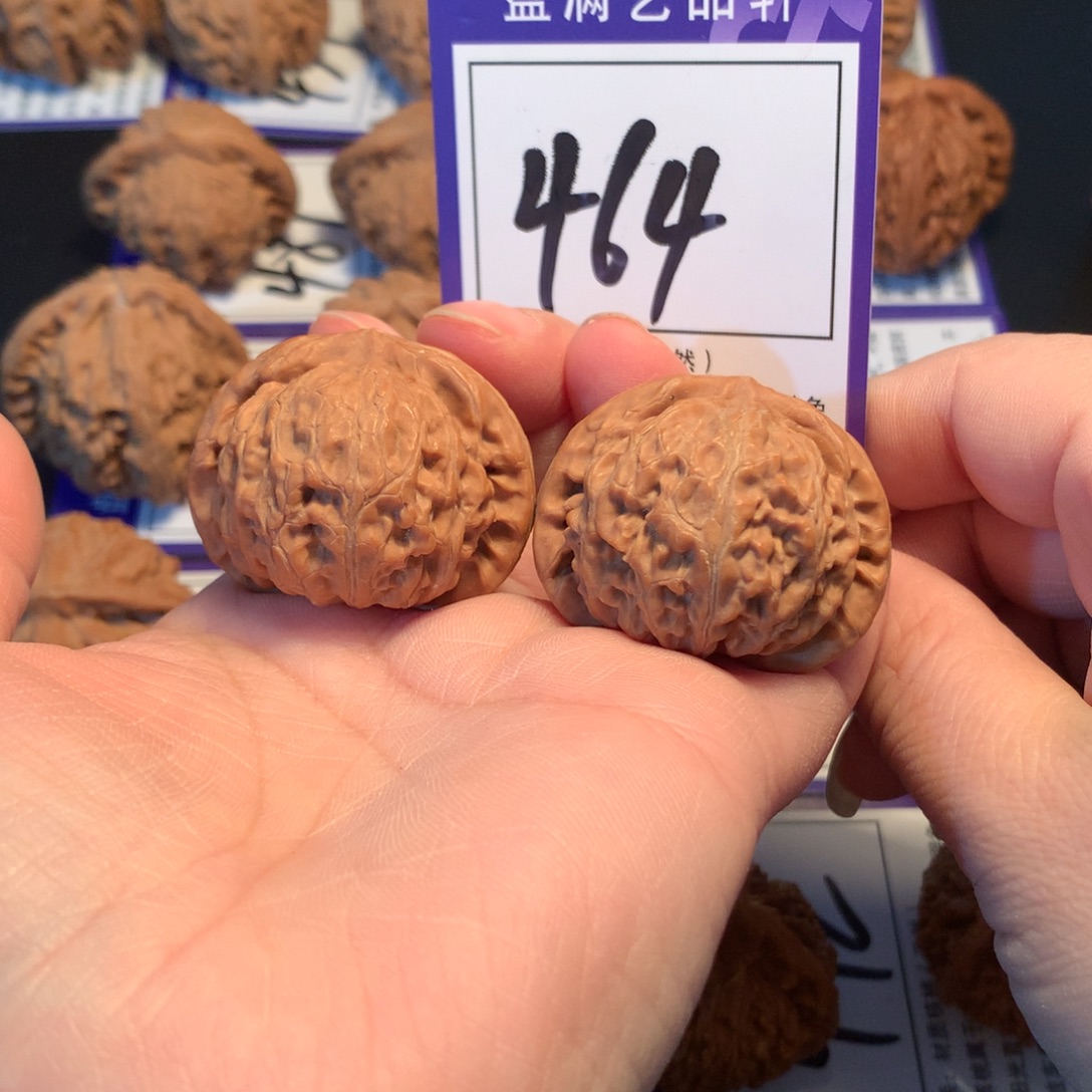 核桃464宫灯3.7全品