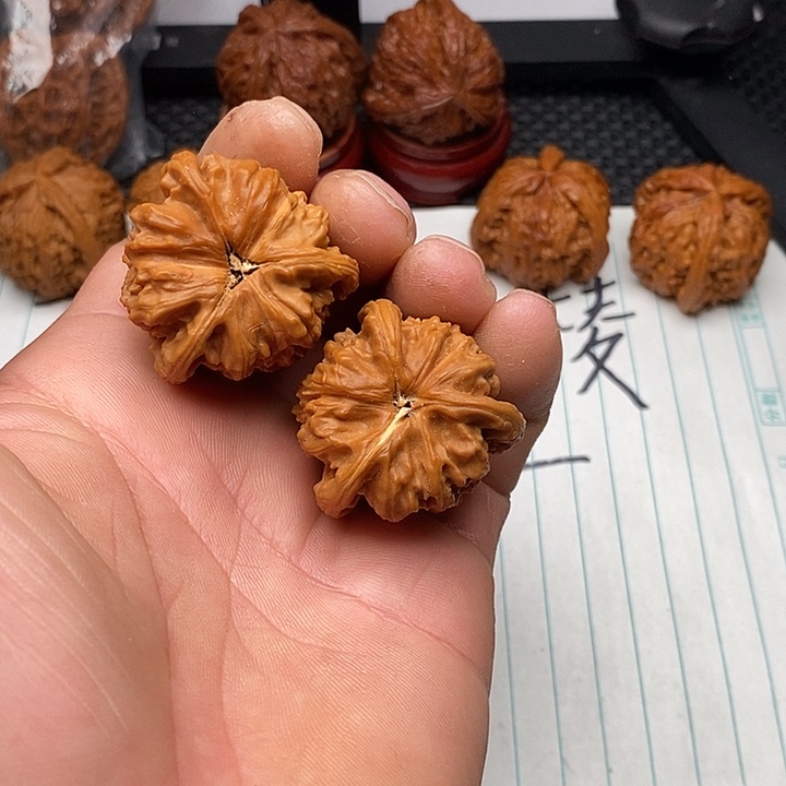 核桃把件练手白狮子3