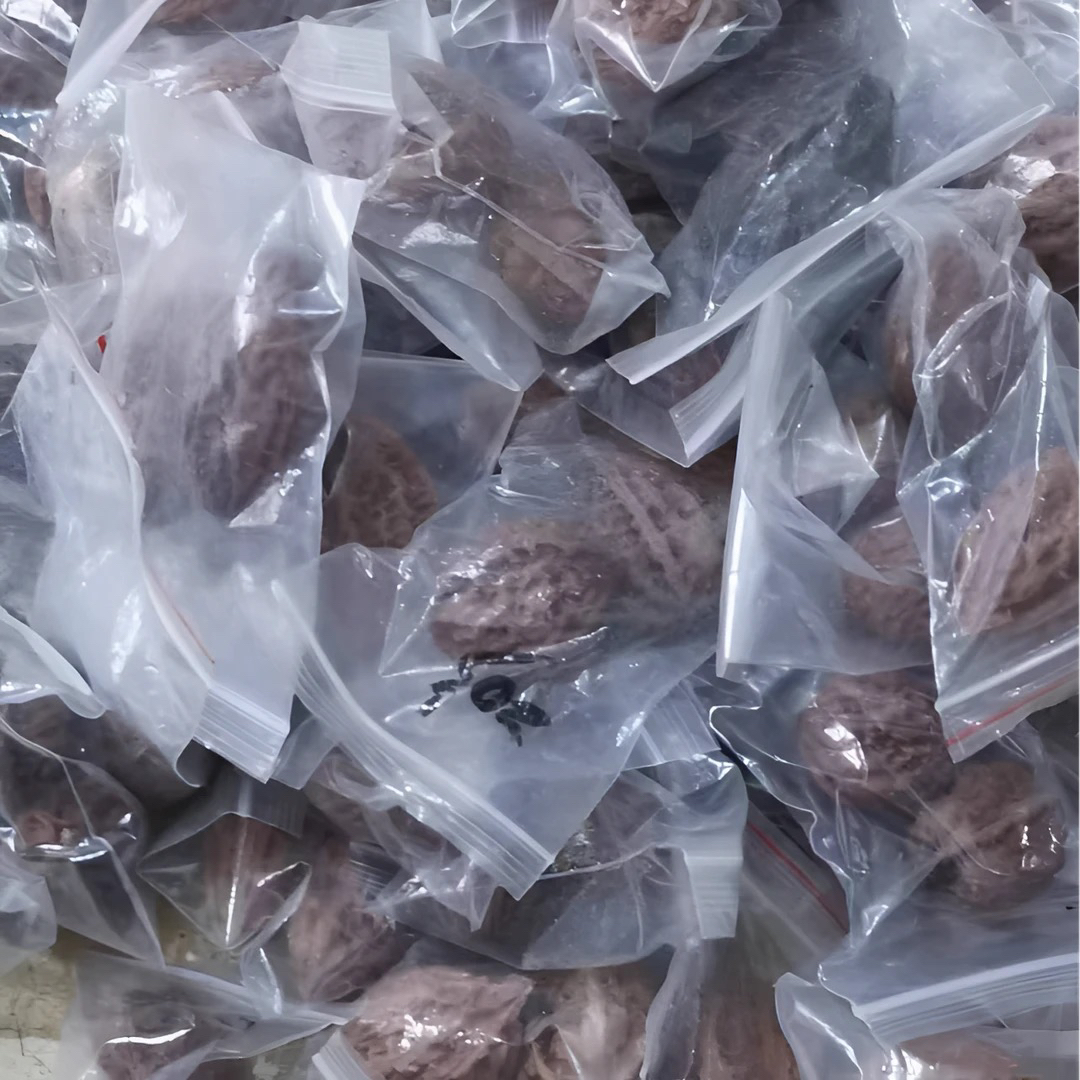 东北野生楸子花皮10对