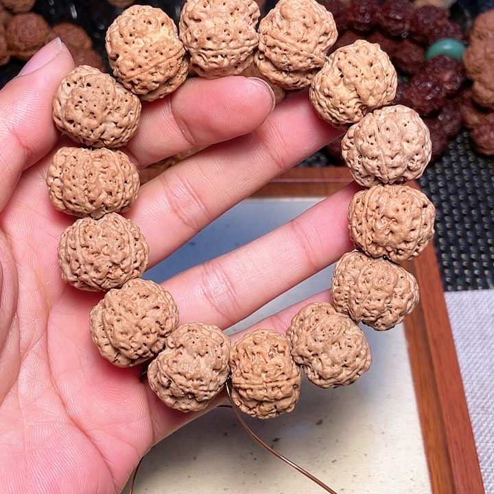 金刚菩提吊坠尼泊尔大金刚菩提