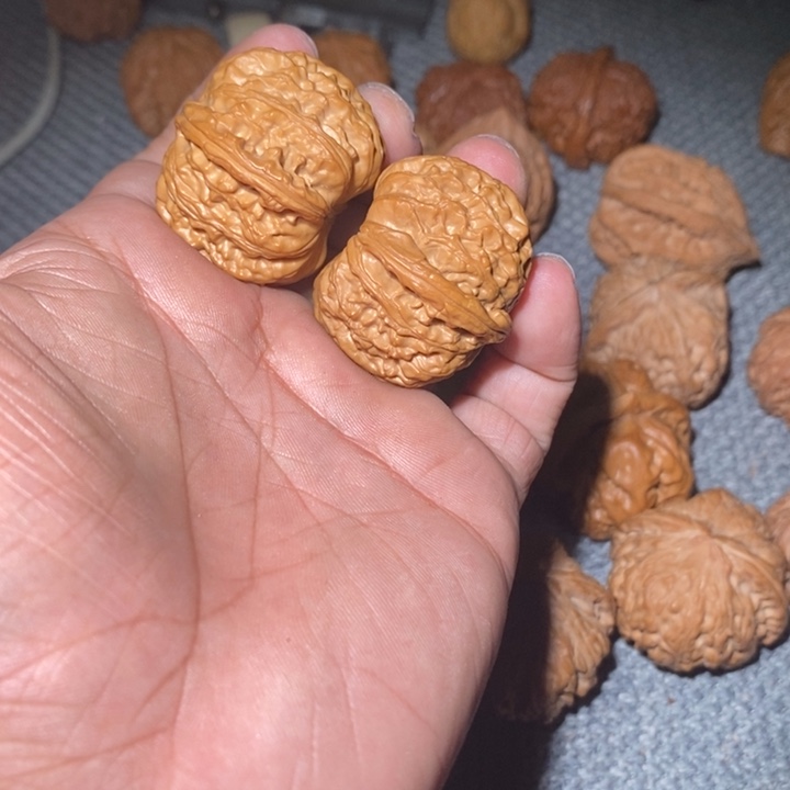 把件桃核白狮子手捻。         