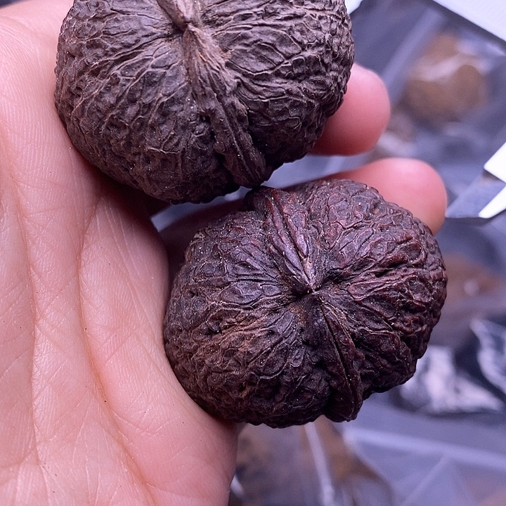 文玩核桃把件   129