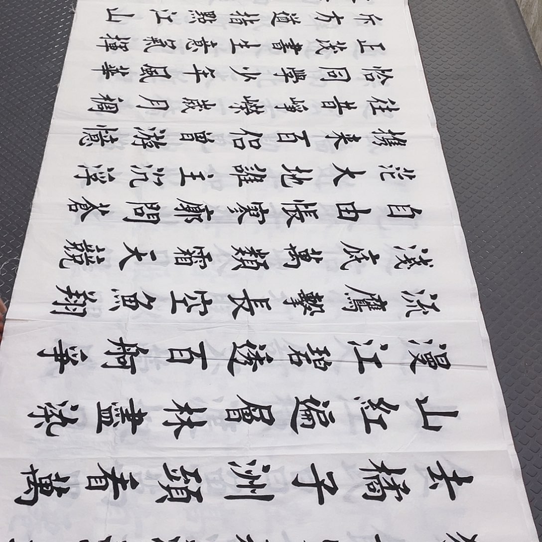 书法老师真人手写杨