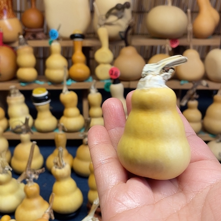 ****D11111111111111111111111