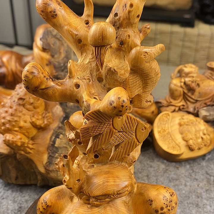 柏木太行崖柏啊啊啊啊啊啊啊啊