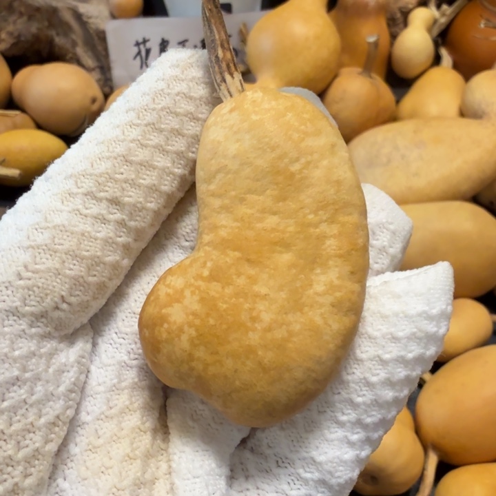 元***元666666666677777777777888