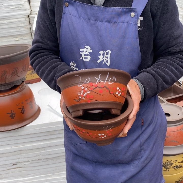 紫砂花盆盆栽花卉苗木种植