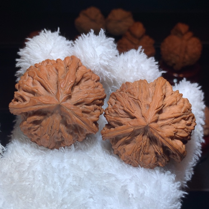 吊坠文玩核桃御龙奔，精品配对，46