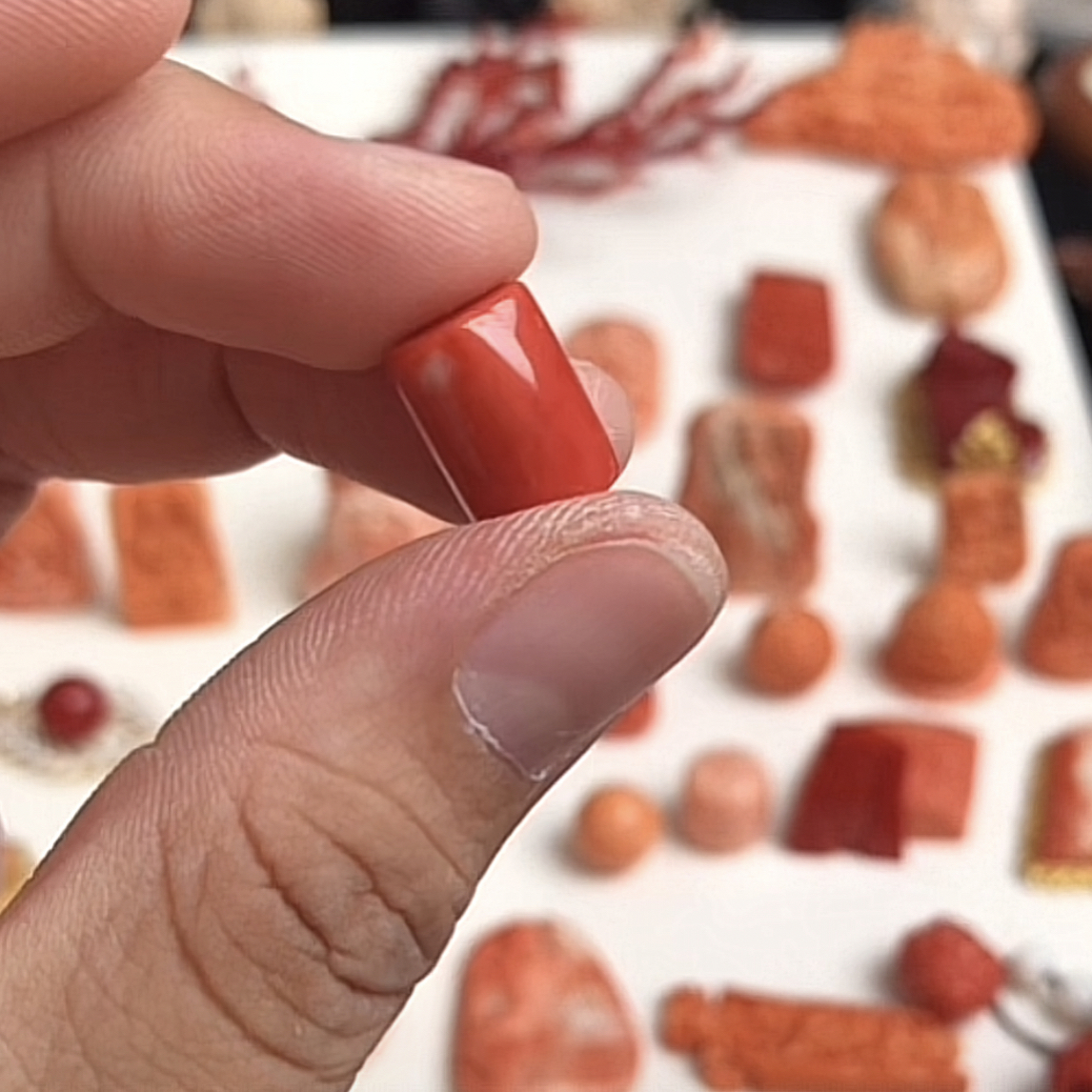 momo珊瑚桶珠一颗