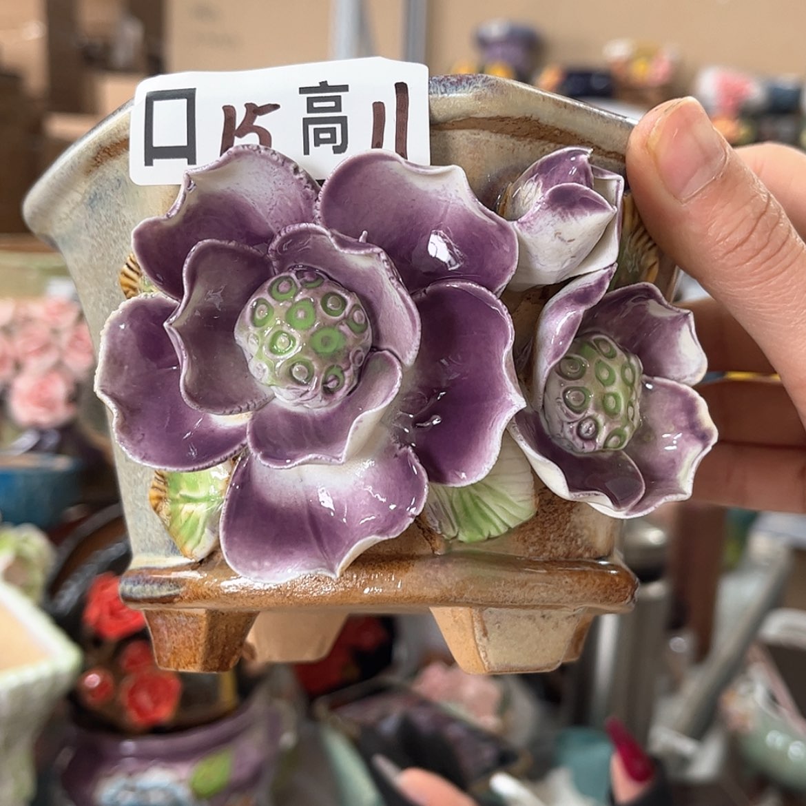 【闪购商品】红陶福利