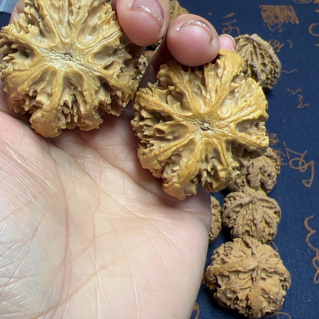 文玩核桃把件秦岭野生植物核桃