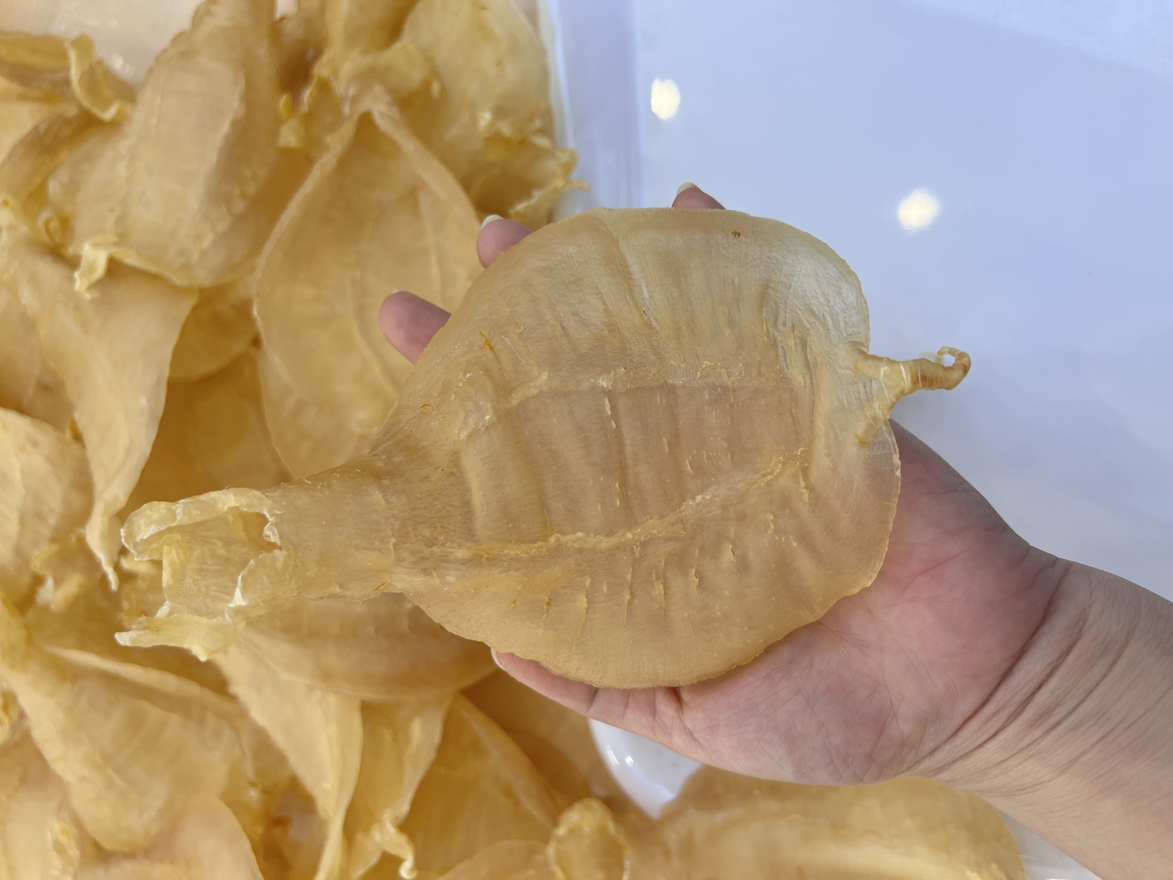 野生金兰赤嘴公鱼胶花胶