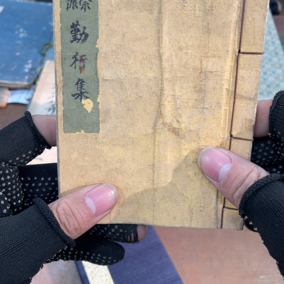 y***g精品剪纸作品欣赏