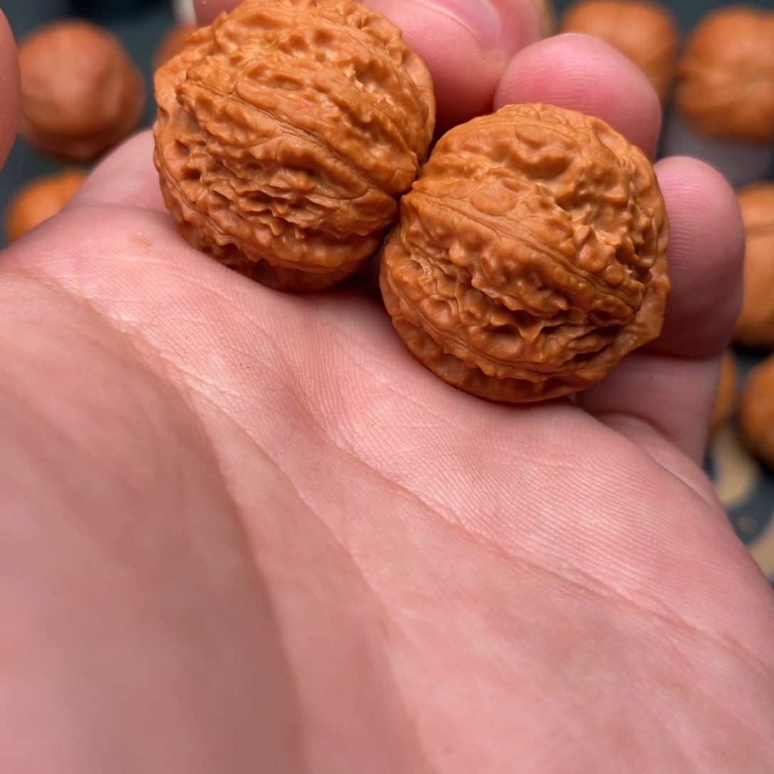 文玩核桃把件小狮子