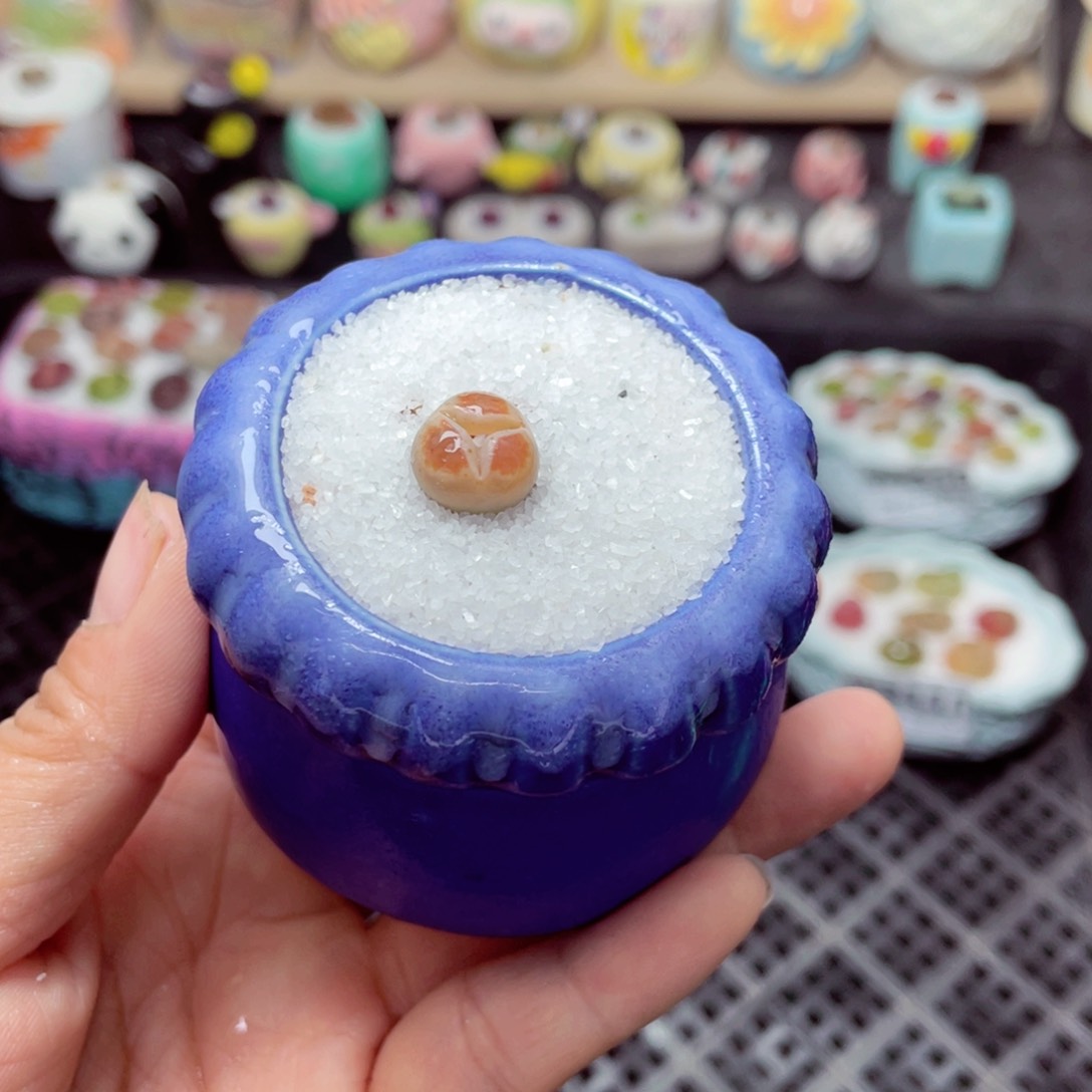 w3113 带盆土发货 -零下地区拍保温箱